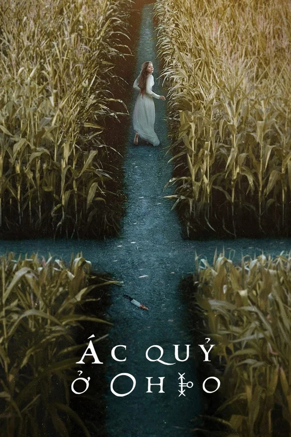 Cổ Tay Áo Màu Đỏ